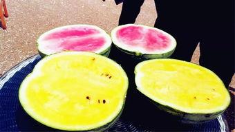 大瓜最新爆料,大瓜最新剧情揭秘，真相令人震惊！  第2张